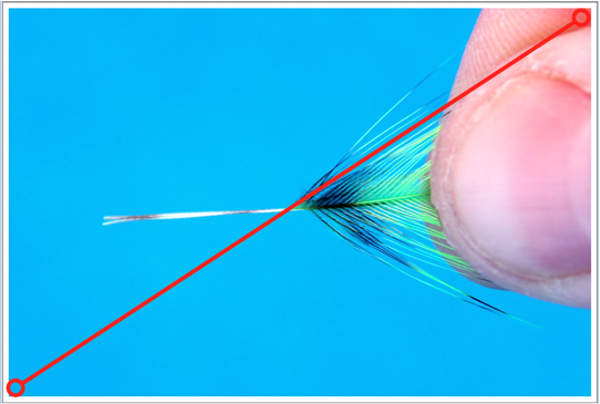 Fly Tying Tips & Tricks - Working with Feathers Fly Tying Recipes