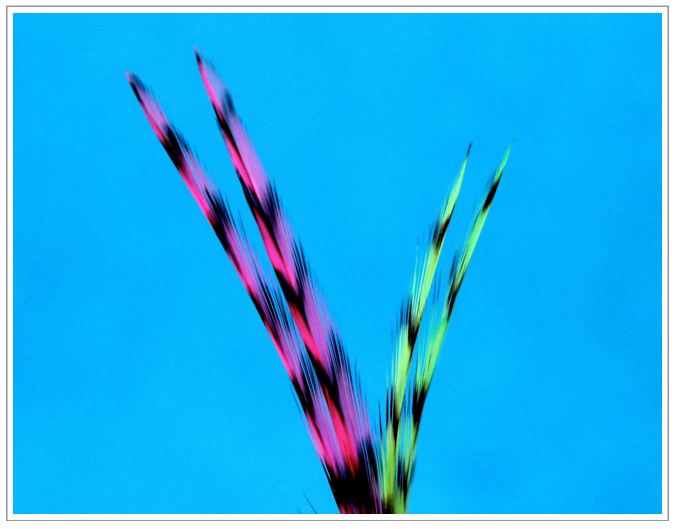 Fly Tying Tips - Feathers Fly Tying Recipes & Patterns