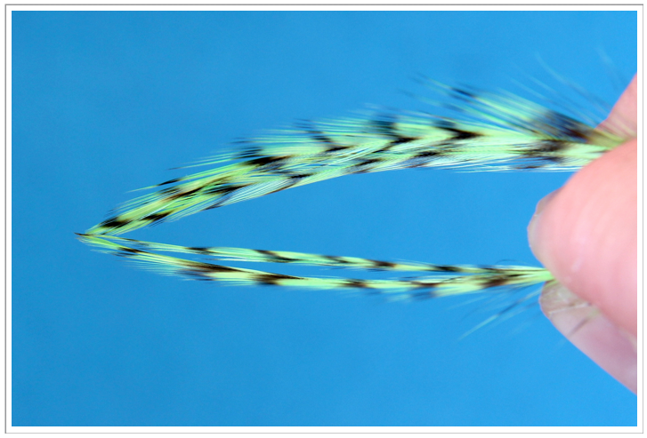 Fly Tying Tips - How to Apply Feathers Fly Tying Recipes & Patterns