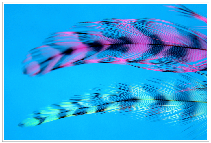 Fly Tying Tips - Matching Feathers Fly Tying Recipes & Patterns