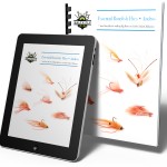 Essential Bonefish Flies - Andros BOXSHOT Image