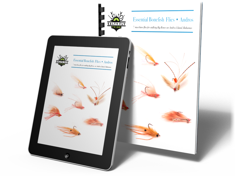 Essential Bonefish Flies - Andros BOXSHOT Image