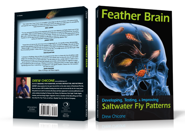 Feather Brain by Drew Chicone