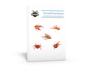 Essential Permit Patterns Paperback boxshot